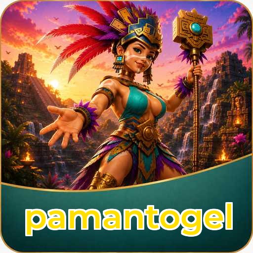 Tim Kami